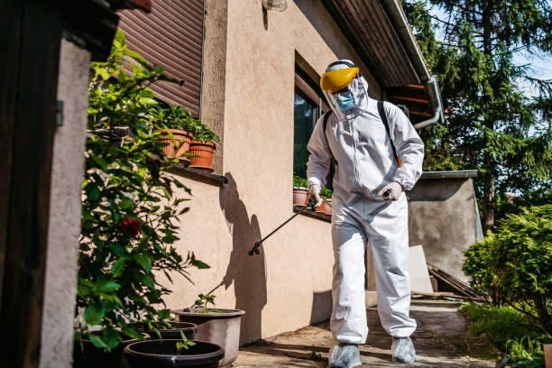 Flea Control Services in Shattuck, OK