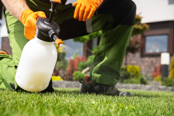 Best Insect Control  in Shattuck, OK