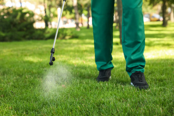 Best Pest Control Near Me in Shattuck, OK