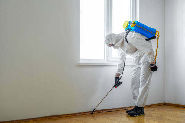 Best Commercial Pest Control Services  in Shattuck, OK