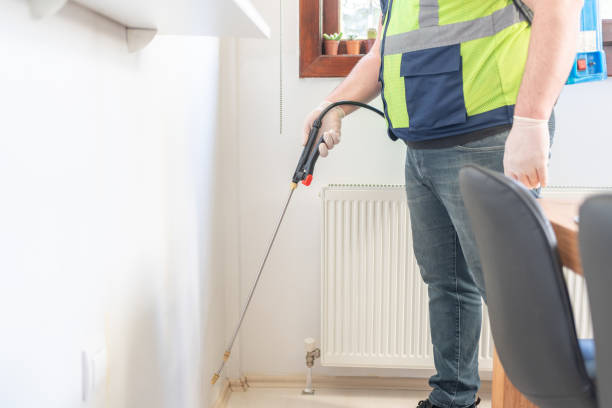 Best Wasp Removal Services  in Shattuck, OK