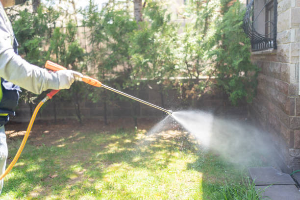 Best Residential Pest Control  in Shattuck, OK
