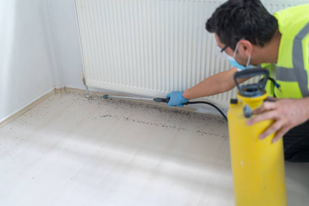 Best Affordable Pest Control Services  in Shattuck, OK