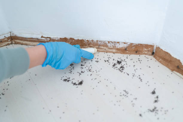 Best Wildlife Control Services  in Shattuck, OK